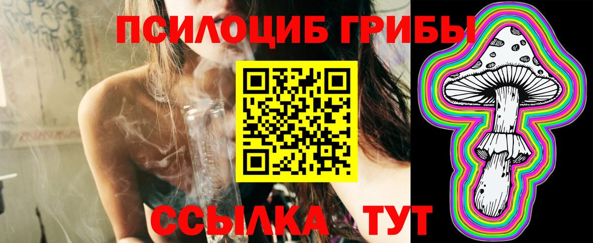 продажа наркотиков  Псилоцибиновые грибы Psilocybe  Вход с VPN  Нарьян-Мар 